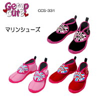 CCS-33100