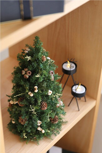 クリスマスツリー フォレスト ツリー クリスマス ツリー 卓上 卓上ツリー ギフト プレゼント おしゃれ かわいい誕生日プレゼント 女友達 クリスマス雑貨 ミニツリー 飾り 店舗 装飾 北欧 インテリア 人気 シンプル ミニツリー (3)