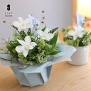 プリザーブドフラワー 御供 お供え お供えの花 お供え物 白 ブルー ギフト 贈り物 花 さくら ペット 仏花 お仏壇 初盆 お盆 お悔み 法事 一周忌 お彼岸...