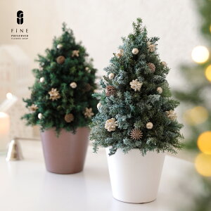 クリスマスツリー｜ミニサイズで北欧風なものは？コンパクトでもおしゃれに飾れるものが欲しい！