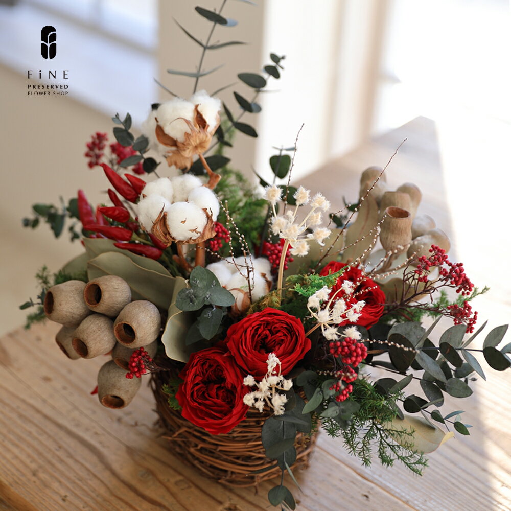 クリスマス プリザーブドフラワー プティ・フォレ・ノエル(X対象) クリスマス ギフト 玄関 外 北欧 おしゃれ プリザーブドフラワー プレゼント インテリア ディスプレイ 新築祝い 開店・開業祝い 小さい 杉 グリーン 実物 室内 オールシーズン