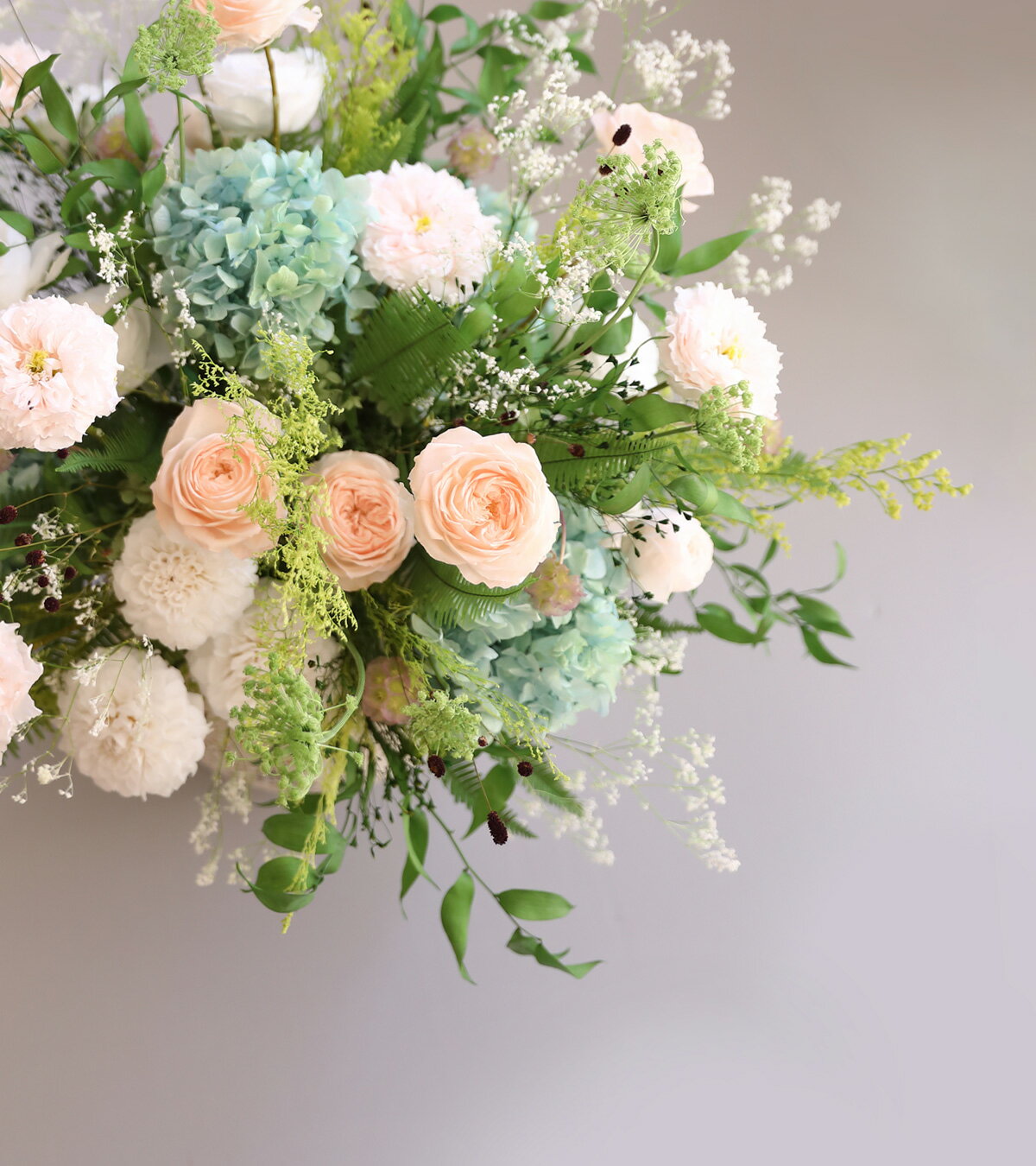 �ץꥶ���֥ɥե� �ץ쥼��� ���ե� �� �ߥ˥��� ����̵�� ���۽ˤ� ��Ź�ˤ� ���Ƚˤ� �����ˤ� �뺧�ˤ� �࿦�ˤ� ���̽ˤ� ���޽ˤ� ��Ǥ�ˤ� Ĺ���ˤ� ���ˤ� ��ǯ��ǰ