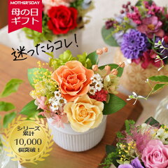 https://thumbnail.image.rakuten.co.jp/@0_mall/fine-flower/cabinet/mother/item/ag265_item_m.jpg