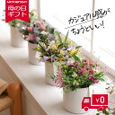 プリザーブドフラワー 母の日 女性 誕生日プレゼント 女友達 誕生日 30 40 50 代 プレゼント ギフト 花 ジョリ ナチュラル 結婚祝い 出産祝い 引越...