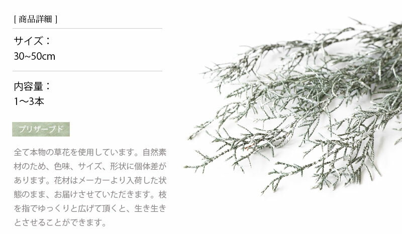 �֥롼�������������å���ۥ磻�� �ץꥶ���֥ɥե� �ɥ饤�ե� �ֺ� ��ʬ�� �ʥ����� ����ץ� ���� �ϥ�ɥᥤ�� �ϡ��Хꥦ�� ��������ƥꥢ ���ꥹ�ޥ� �����ʥ��� ���ꥹ�ޥ��꡼�� ���� ������ ��ʪ Ź�� ���� �ڥ���֥�󥷥��