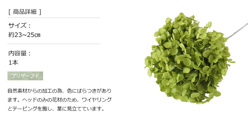 ���ʥ٥� ���꡼�� ���۲� ���������ʥ����� �ץꥶ���֥ɥե� �ɥ饤�ե� �磻��ɥե� �ֺ� ���� ��ʬ�� �ʥ����� ����ץ� ���� �ϥ�ɥᥤ�� ����ƥꥢ ���� �̲�����ƥꥢ ���� �ڥ���֥�󥷥��