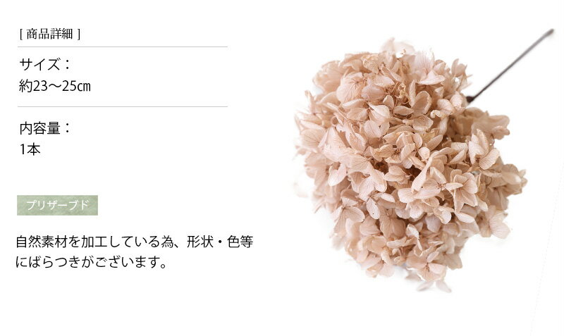 �ץꥶ���֥ɥե� �������� �����ѥ� �磻�䡼���ƥ��դ� �ֺ� �ֺ� ���� ��ʬ�� ����ƥꥢ ���� �������� ���۲� ���ꥹ�ޥ� �����ʥ��� ���ꥹ�ޥ��꡼�� ���� ������ ��ʪ Ź�� ���� �ڥ���֥�󥷥��