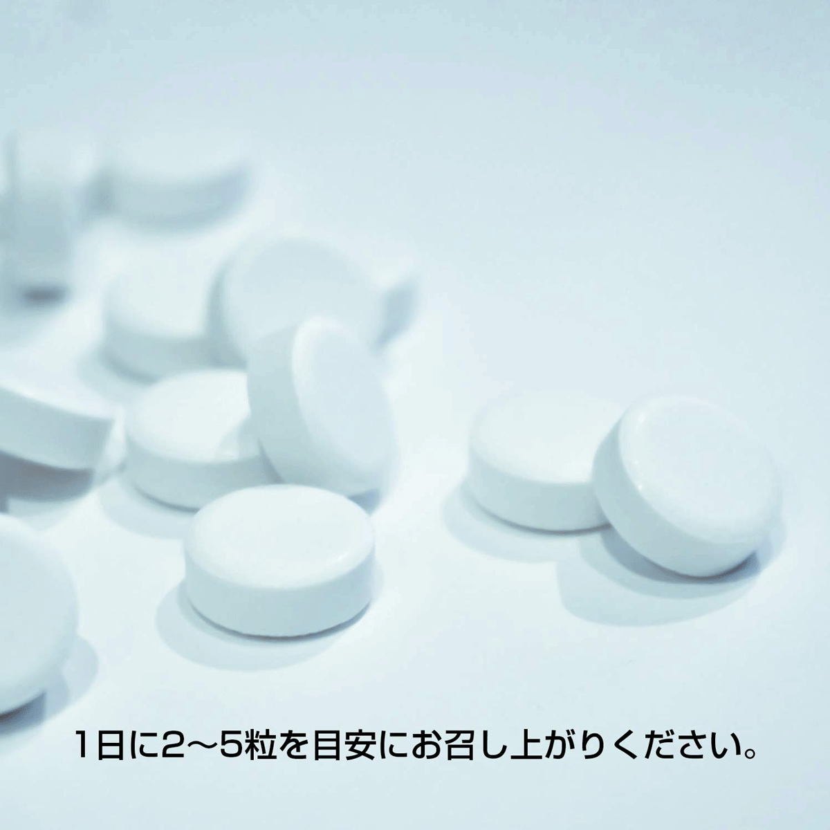 ��3/1 ����!2��������7�󥯡��ݥ�� L - ����˥��� �ӥ��ߥ�B1 �۹� ���奢�֥� ������ �ѥå����ե롼�� ��̣ 1��2��5γ/150γ�� �������å� �򿴤����Ƥ������� ���ߥλ� �ե�����