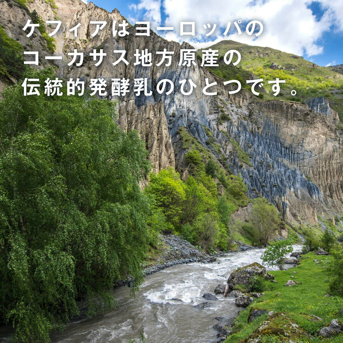 【ポイント5倍】 活性 ケフィア オリゴ 糖 食物繊維 配合 30日分(1日10粒/300粒入) ケフィア 菌 ガラクトオリゴ糖 乳酸菌 酵母菌 ダイエット 美容 ヨーグルト ファイン