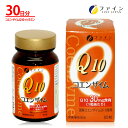 【送料無料＆14日からP10】コエンザイム Q10 - 30 ビタミンB ビタミンE 配合(1日1～2粒/60粒入) サプリメント サプリ 毎日の 美容 と 健康 維持 に ファイン