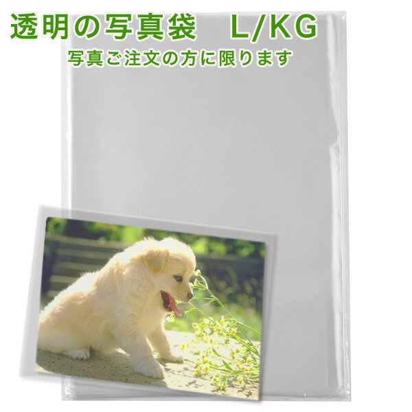 OPP袋 10枚セットLサイズ・KG(ハガキ)