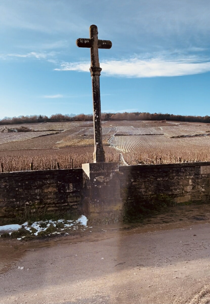 Montrachet Domaine Romanee-Conti 2010 / ����å��� �ɥ᡼�� ���ޥ� ����ƥ� 2010