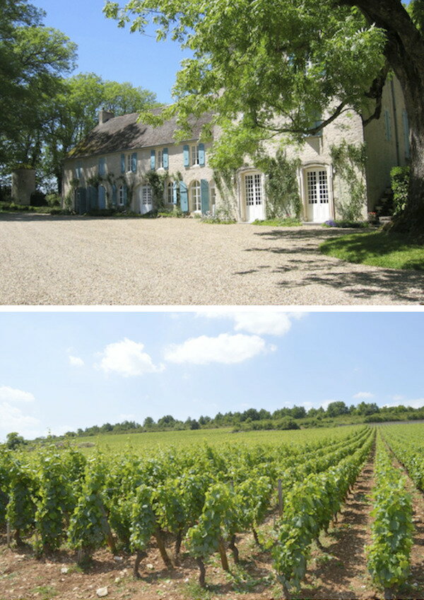 Chevalier Montrachet d��Auvenay 1996 / ����Хꥨ������å������ɡ����͡�1996