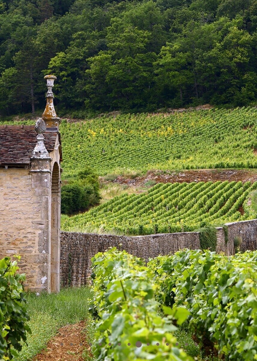 Chambertin Rousseau 2010 /シャンベルタン　アルマン・ルソー 2010