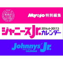 ジャニーズjr.カレンダー 2016.4→2017.3  集英社 King&Prince キンプリ 平野紫耀 神宮寺勇太 永瀬廉 高橋海斗 岩橋玄樹 神宮寺勇太 岸優太 SixTONES なにわ男子 ジェシー