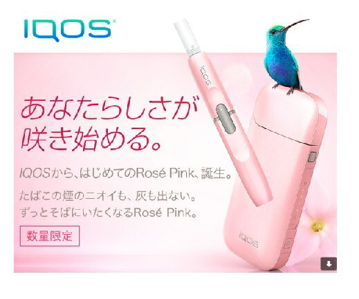 【訳アリ・シュリンク無し】【新品/正規品】【製品登録不可】iQOS 本体キット【限定色 ローズピンク Rose Pink】【火を使わない、灰が出ない、ニオイが少ない。革新のたばこヒートテクノロジー】★アイコス 電子タバコ 桃色 ロゼピンク