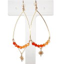 【中古】STAR JEWELRY/スタージュエリー K10 メノウ イヤリング/ピアス/g503-45
