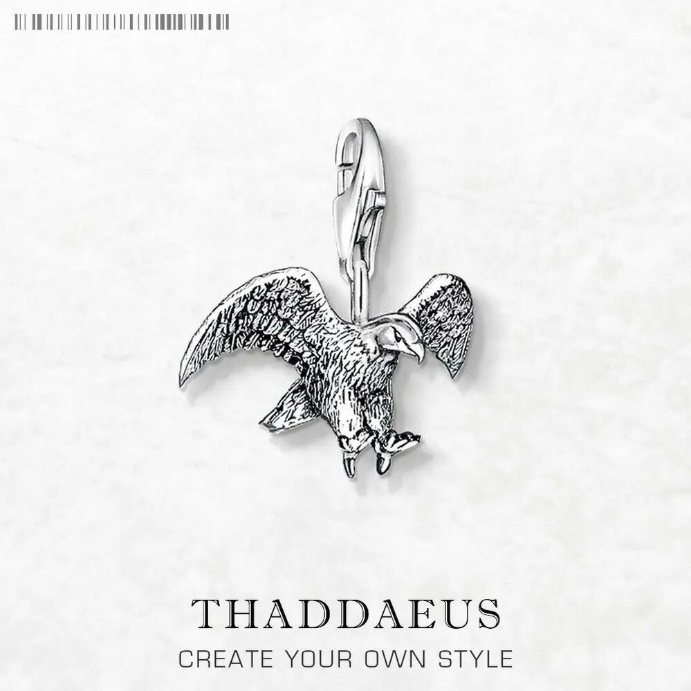 【送料無料】 チャーム ペンダント ブレスレット ネックレス 動物 アニマル シルバー ハート リング 鳥 レディース メンズ 飛行 鷲 イーグル バード フィ...