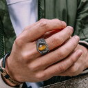 【クーポン利用で3840円】 リング シルバー ステンレス ストーン 眼 印台 タイガー トラ メンズ 男性 虎 目 アイズ シグネット 指輪 ロック パンク ダーク カラー スチール ゴシック ジュエリー(4)