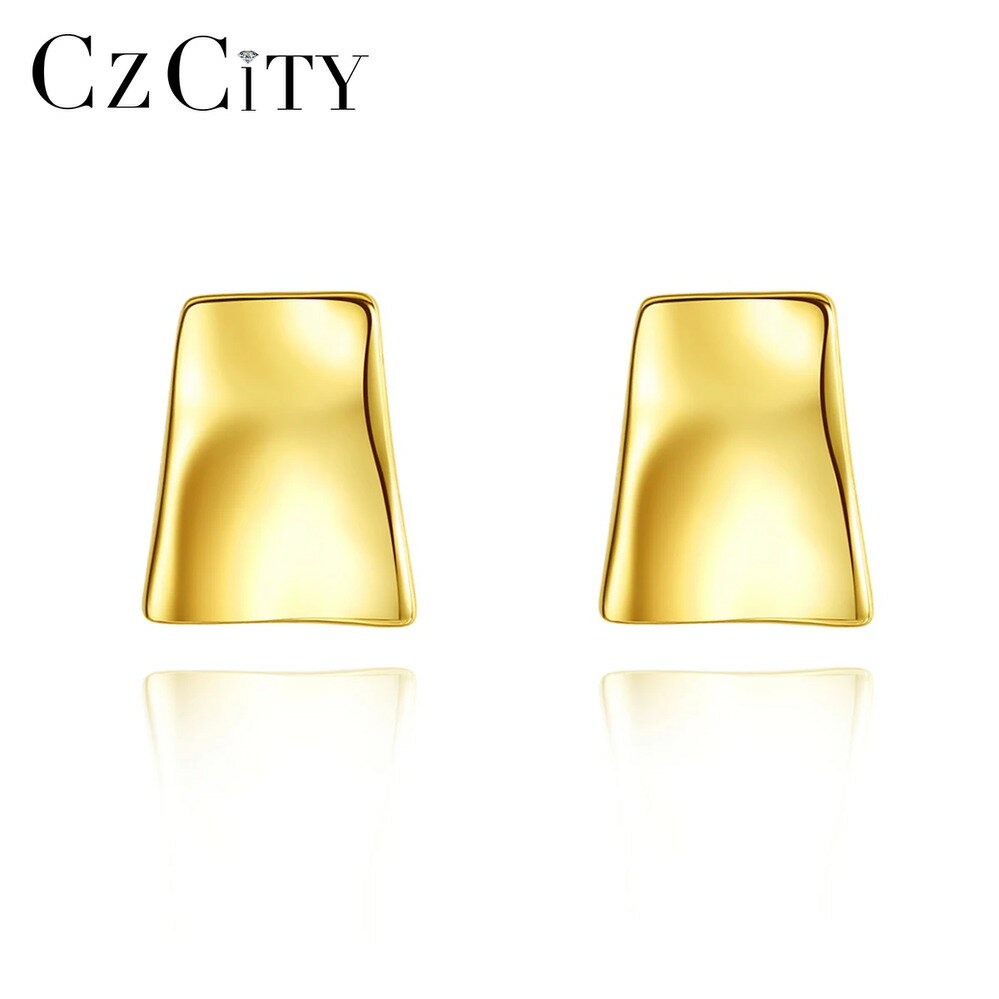 【クーポン利用で8570円】 ペンダント ピアス シルバー シンプル リング レディース ブラシ ピュア ソ..