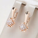 【クーポン利用で4230円】 ピアス 花 フラワー ジルコニア クリスタル イギリス ゴールド レディース 585 ローズ 普通でない クリエイティブ トレンド ナチュラル ジルコン イングリッシュ 英国 結婚式 ウェディング ジュエリー(4)