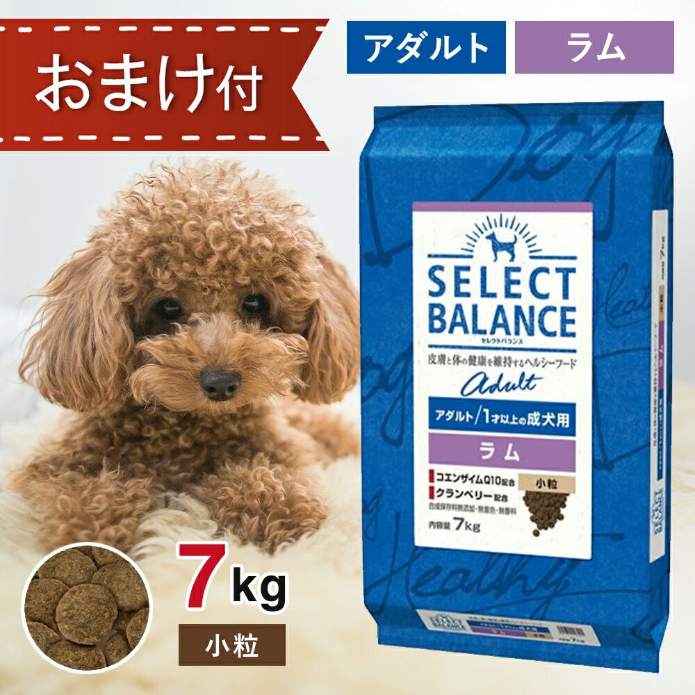 kozucoco様SELECT BALANCE スリム ラム 3kg×2|ドッグフード kozucoco様SELECT BALANCE スリム ラム 3kg×2|ドッグフード