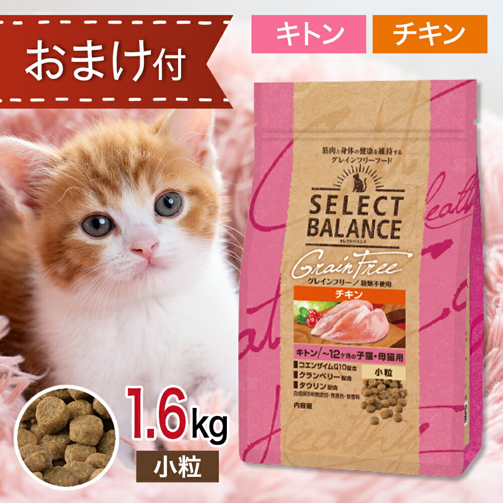 楽天市場】セレクトバランス キトン 子猫の通販 楽天市場】セレクトバランス キトン 子猫の通販