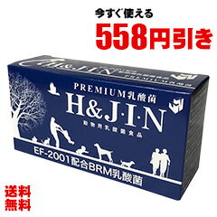 ★558円引クーポン★【賞味期限2024年3月以降】Premium 乳酸菌 H&JIN　1g×90包（動物用）