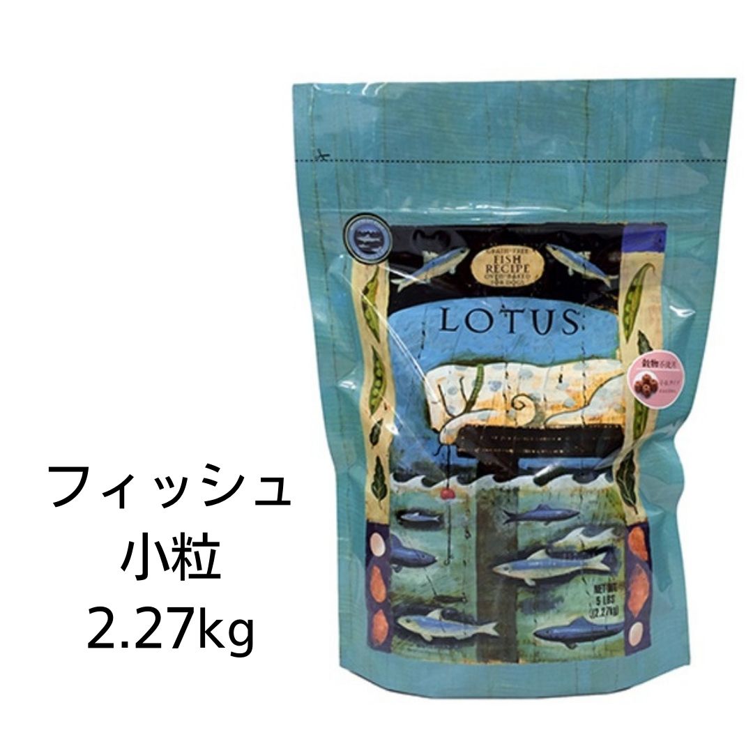 【最大1,000円引きクーポン】【賞味期限2025年1月20日以降】ロータス　グレインフリー　フィッシュレシピ　小粒　2.27kg　あす楽