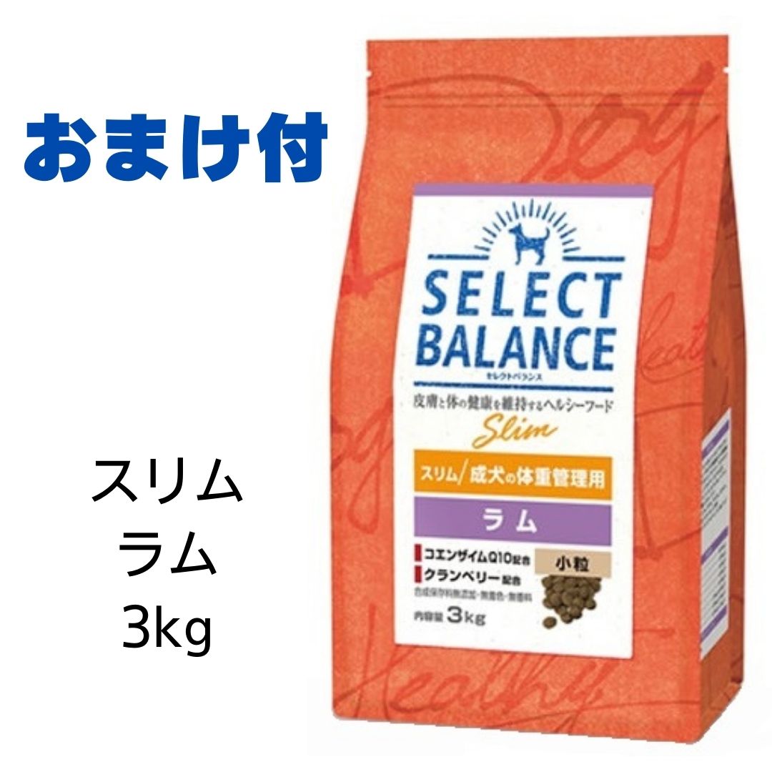 【2個で500円引クーポン】【賞味期限2025年2月28日以降】セレクトバランス　スリム　ラム　小粒　3kg 【おまけ付き】　あす楽