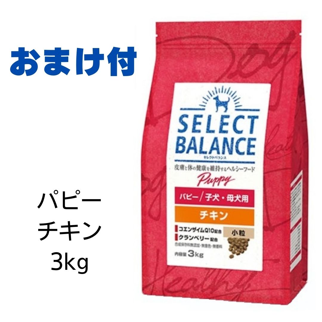 【賞味期限2025年12月31日以降】セレクトバランス　パピー　チキン　小粒　3kg（子犬・母犬用）【おまけ付き】