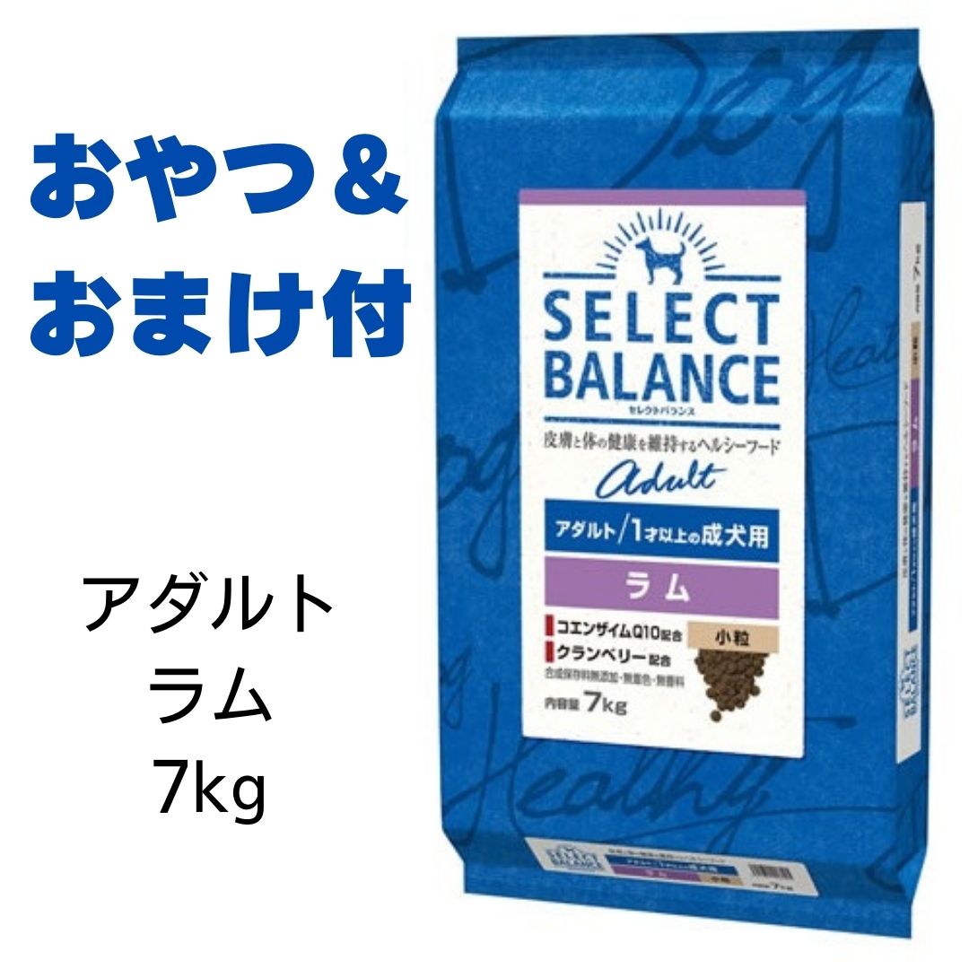 【最大1,000円引きクーポン】【賞味期限2025年4月30日以降】セレクトバランス　アダルト　ラム　小粒　7kg 【おやつ＆おまけ付き】　あす楽