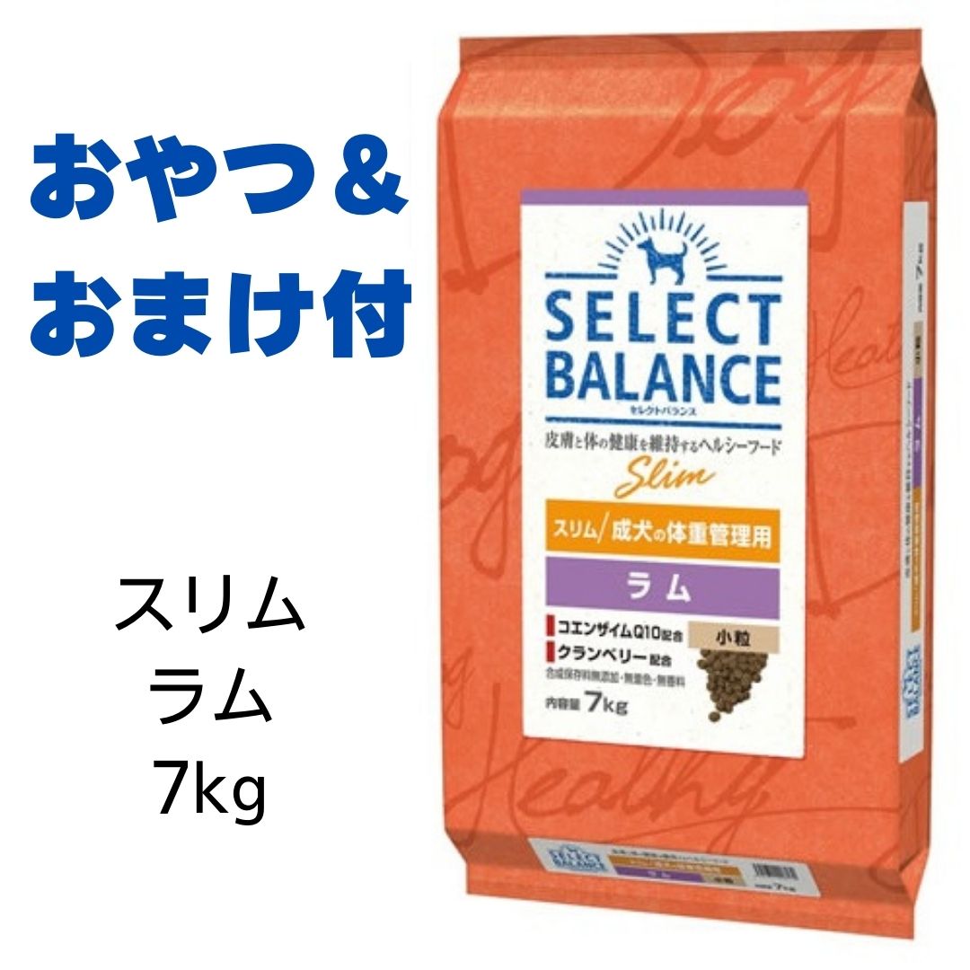 【最大1,000円引きクーポン】【賞味期限2025年2月28日以降】セレクトバランス　スリム　ラム　小粒　7kg （旧ライトラム）【おやつ＆おまけ付き】　あす楽