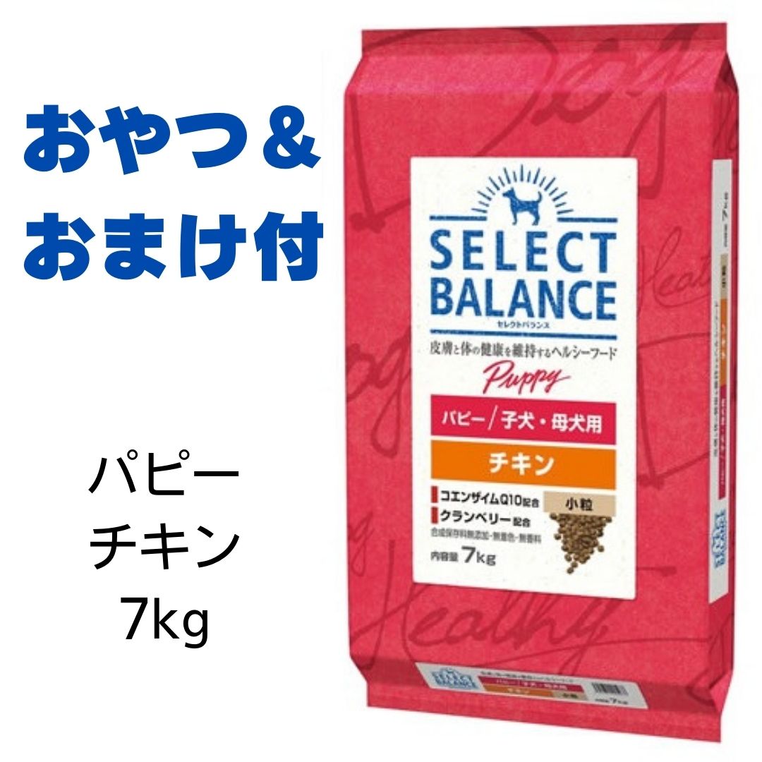 【4時間限定10%OFFクーポン配布中】【賞味期限2025年5月31日以降】セレクトバランス パピー チキン 小粒 7kg （子犬・母犬用） 【おやつ＆おまけ付き】 あす楽