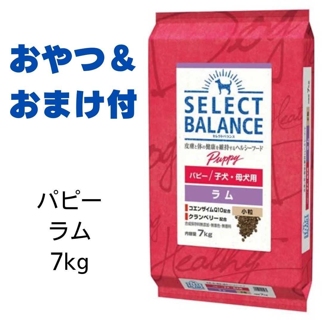 【賞味期限2025年3月31日以降】セレクトバランス　パピー　ラム　小粒　7kg （子犬・母犬用） 【おやつ＆おまけ付き】　あす楽