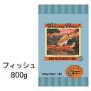 ウェルカムホーム　グレインフリー　フィッシュレシピ　800g　ロータスジャパン　あす楽