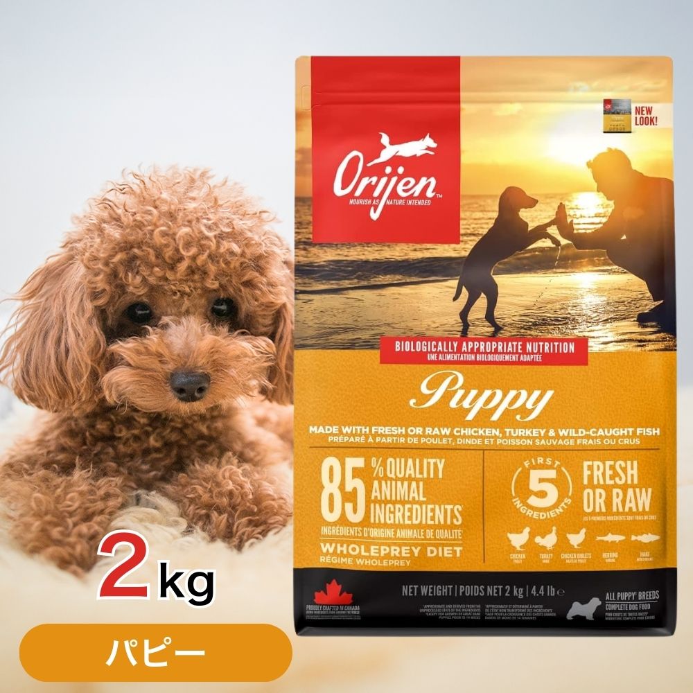 楽天市場】オリジン パピー 2kgの通販 楽天市場】オリジン パピー 2kgの通販