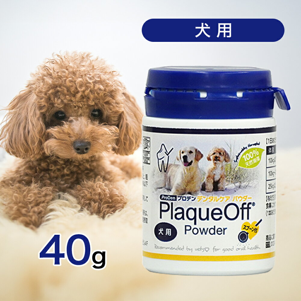 【2時間限定！早い者勝ち10%OFFクーポン配布中！】 プロデン デンタルケア パウダー 犬用 40g あす楽 犬 愛犬 オーラルケア 人工添加物不使用 合成保...