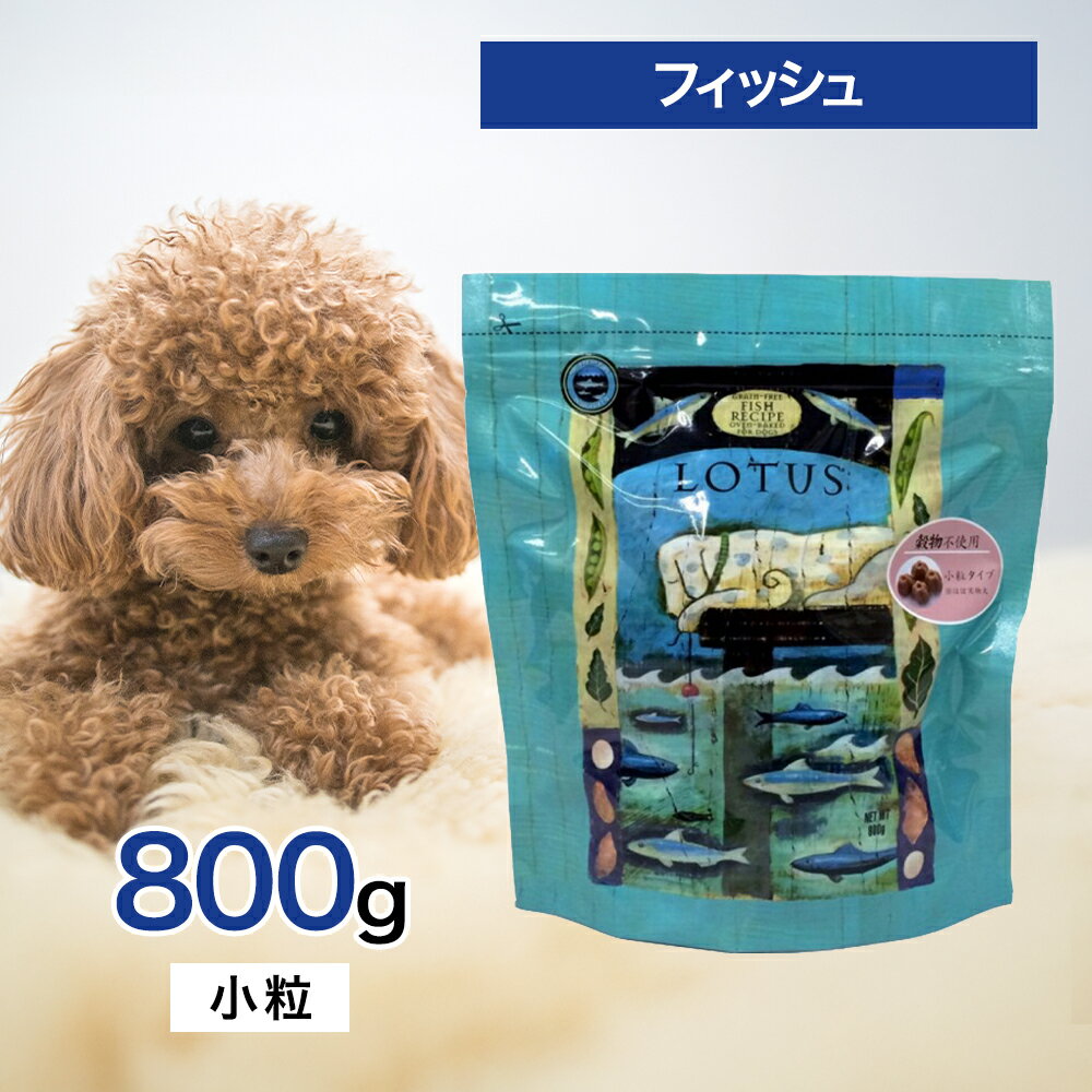 楽天市場】ロータス フィッシュレシピ 5kgの通販