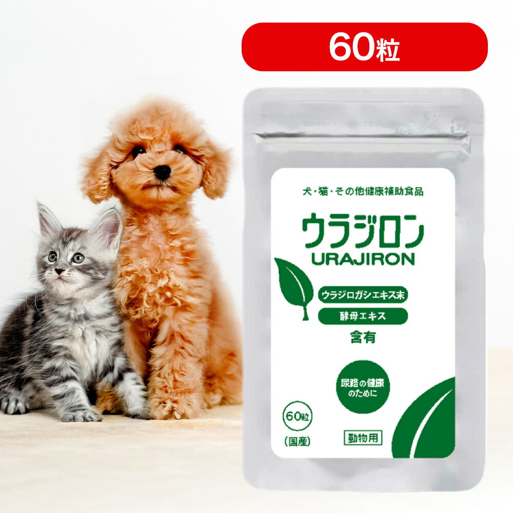 ウラジロン　二袋 楽天市場】ウラジロンの通販