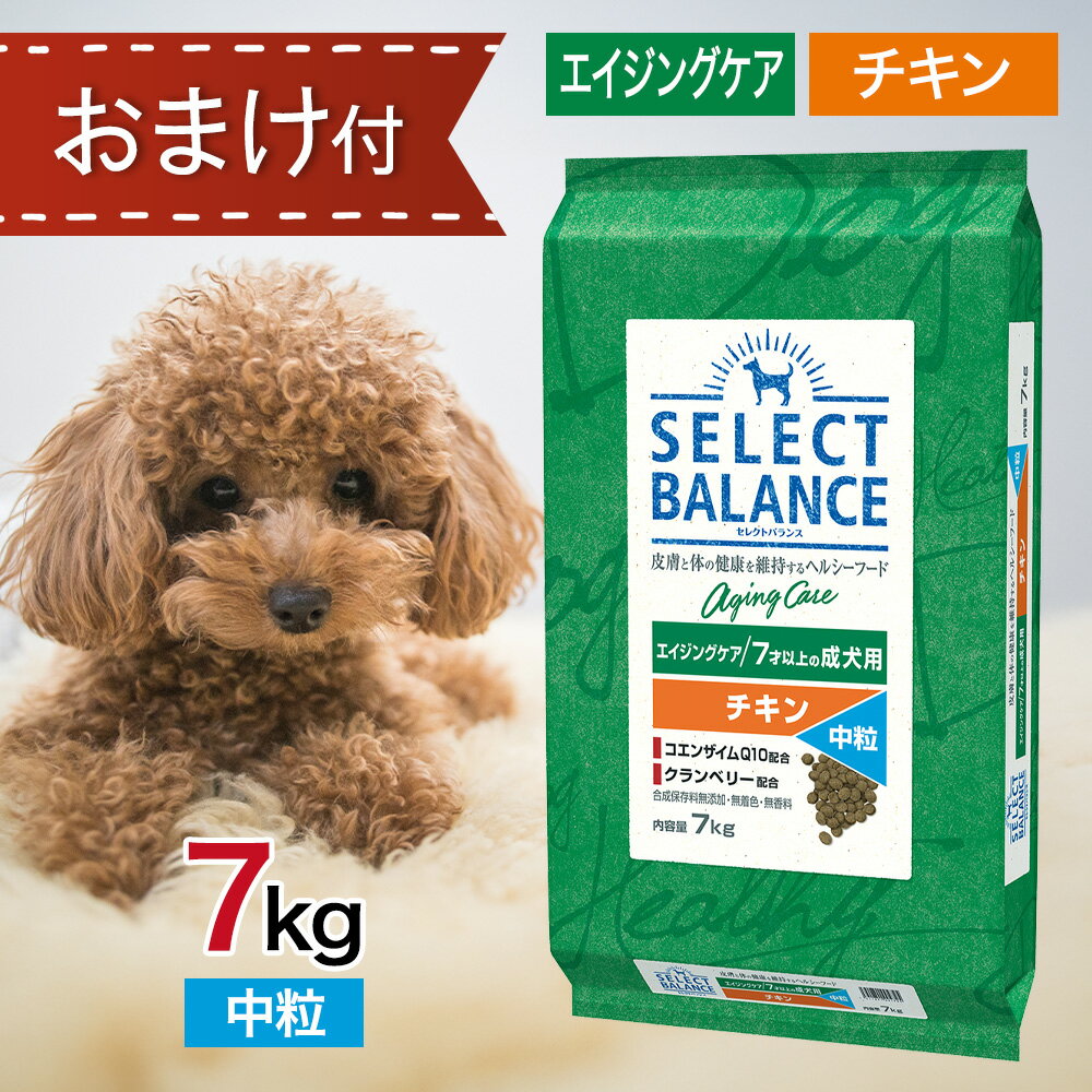 ■中粒■ セレクトバランス エイジングケア チキン 中粒 7kg ペットフード おまけ 付き ドッグフード 餌 エサ 犬 7才 以上 成犬 高齢犬 シニア 7キロ