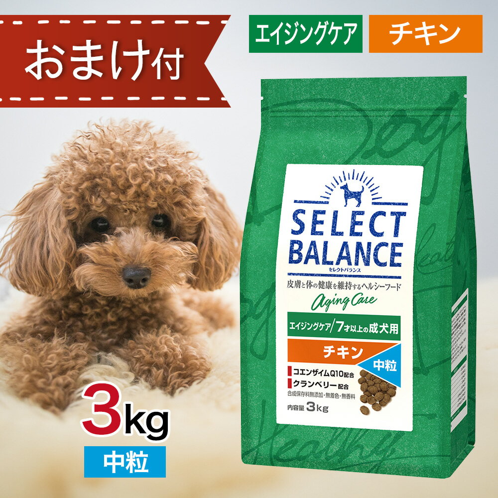  ■中粒■ セレクトバランス エイジングケア チキン 中粒 3kg ペットフード おまけ 付き ドッグフード 餌 エサ 犬 7才 以上 成犬 高齢犬 シニア 3キロ