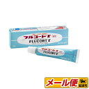 【指定第2類医薬品】【1個までネコポス配送可】フルコートf 10g