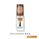 【数量限定・5個までクロネコゆうパケット可】コーセー ネイルホリック(NAILHOLIC) クイックドライ オイル 5mL
