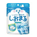 \ポイント3倍!/サラヤ しおまる ひんやり サイダー味 30g 暑さ対策 塩ラムネ