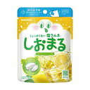 \ポイント3倍!/サラヤ しおまる ひんやり レモンソーダ味 30g 暑さ対策 塩ラムネ