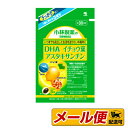 【1個までネコポス配送可】小林製薬 DHA イチョウ葉 アスタキサンチン 90粒 栄養補助食品