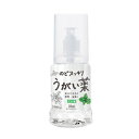 -【健栄製薬】 ケンエー のどスッキリうがい薬CP ミント味 300mL 【指定医薬部品】