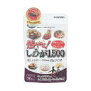 【マルマン】 燃ヤセ！しょうが1500 560mg×90粒 【健康食品】