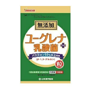 【山本漢方】 ユーグレナ+乳酸菌 粒 120粒 【健康食品】